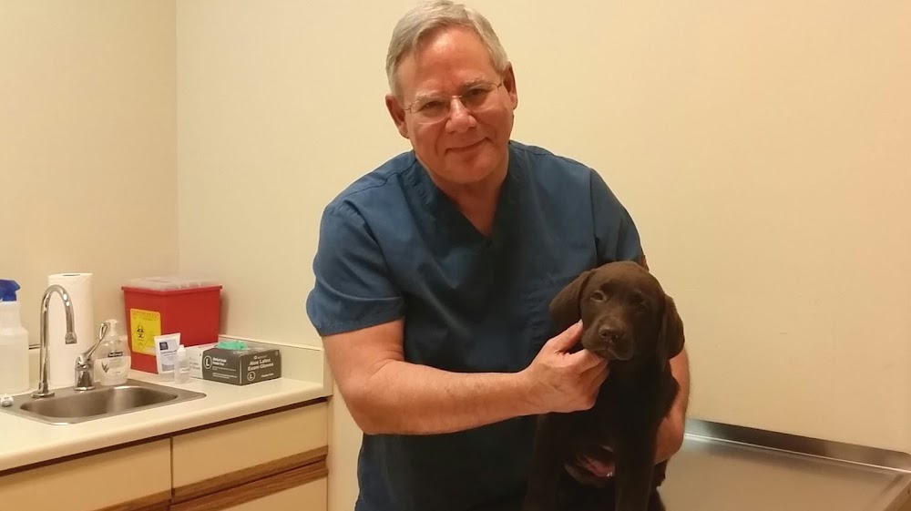 Valley Veterinary Hospital Denver