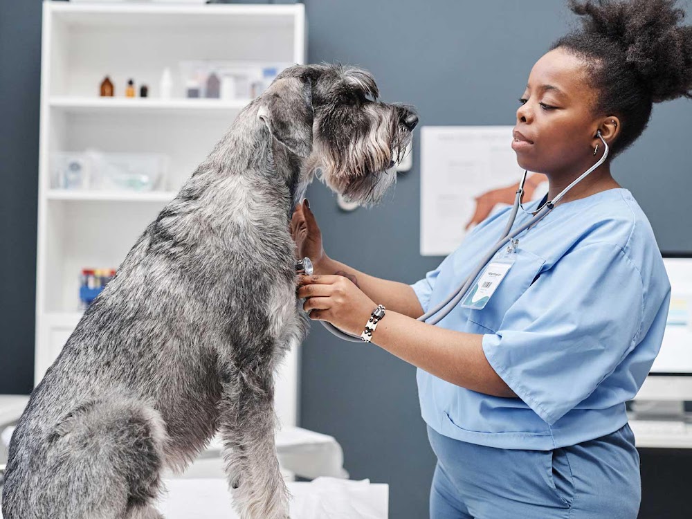 Banfield Pet Hospital
