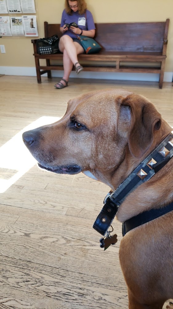 Second Chances Veterinary Care