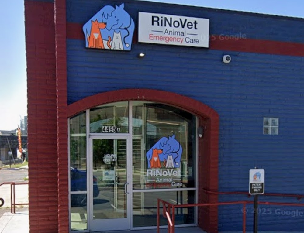 RiNoVet Animal Emergency Care