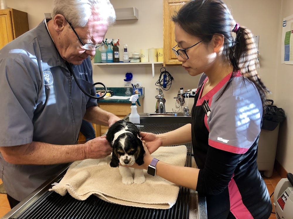 Foothills Animal Hospital