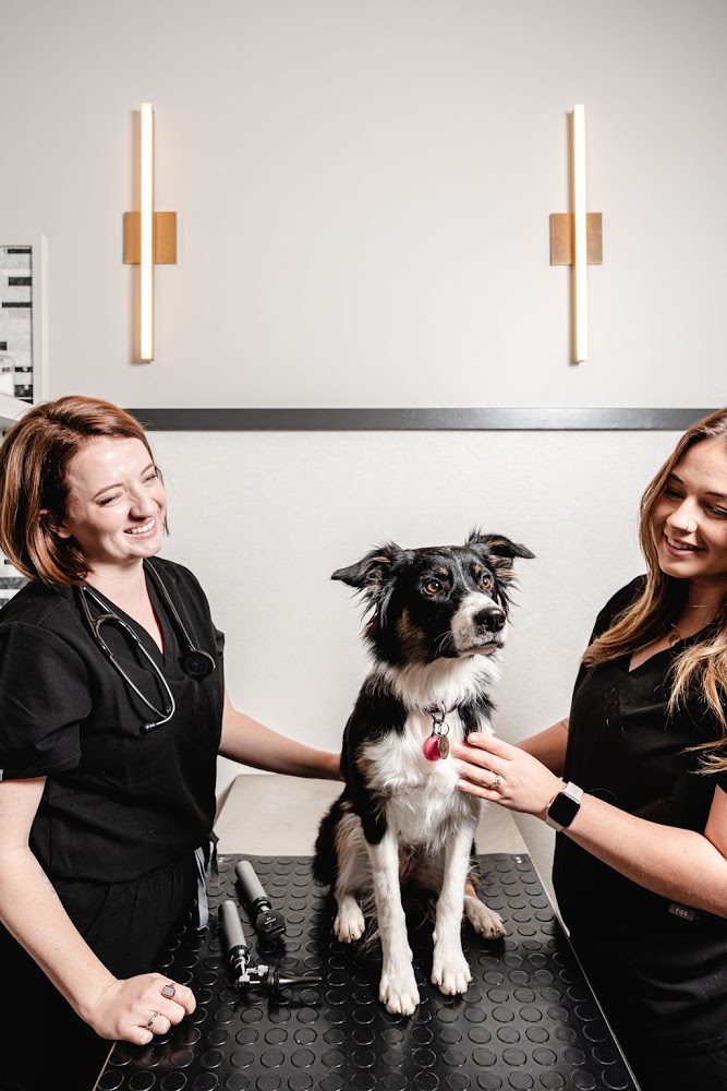 GoodVets Golden Triangle