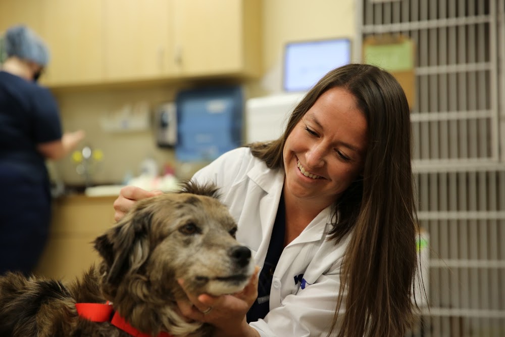 VCA Alameda East Veterinary Hospital