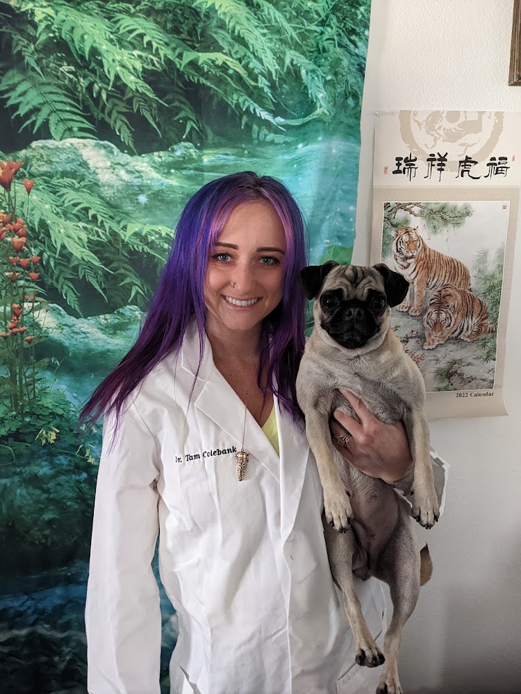 Divine TLC Integrative Veterinary Services LLC