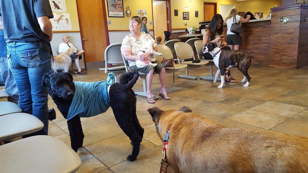 Broadview Animal Clinic