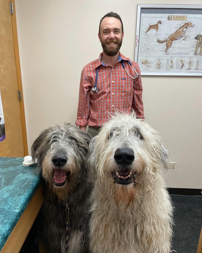 West Denver Veterinary Hospital & Wellness