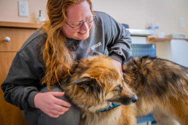 Sploot Veterinary Care - Platt Park
