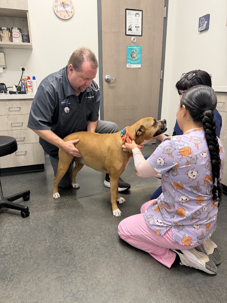 Montclair Animal Clinic
