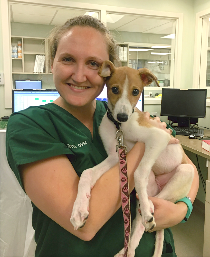 Balanced Animal Wellness, LLC