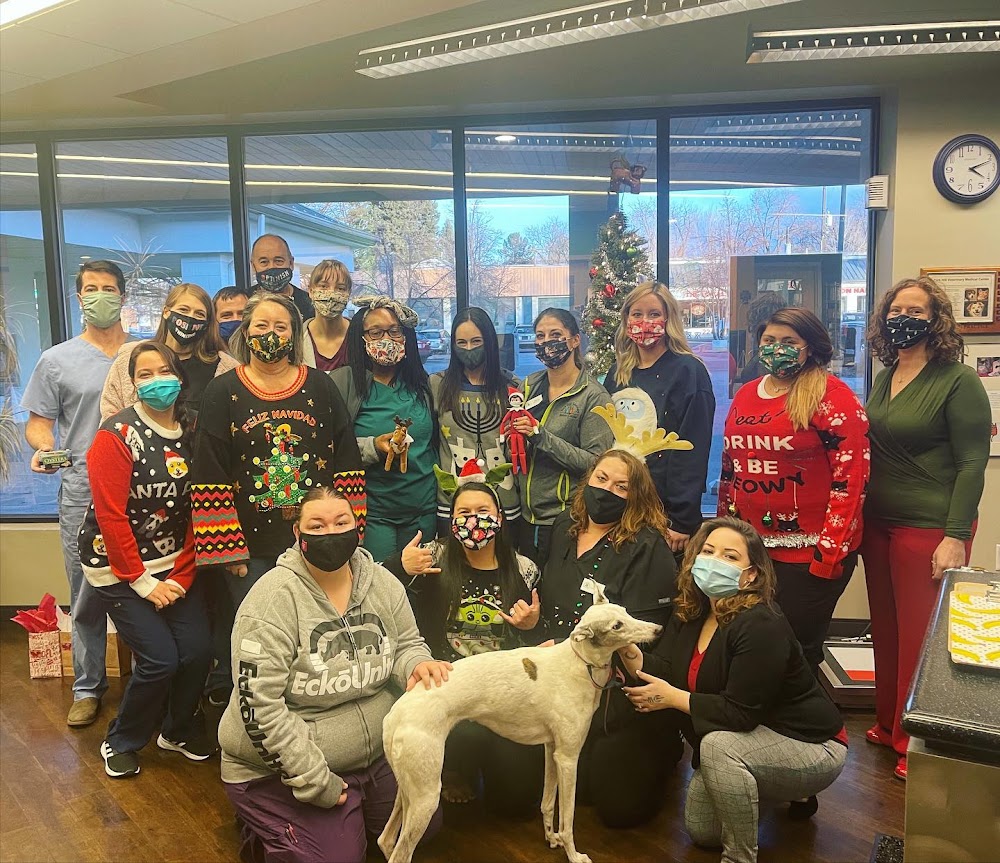 Park Hill Veterinary Medical Center