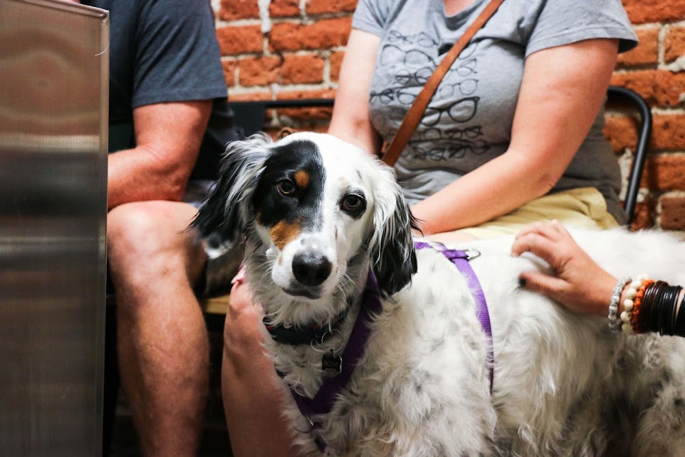 5280 Veterinary Care